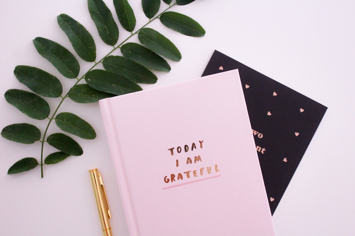 Expert Tips for Stress-Free Caregiving